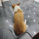 룽지살롱 이미지