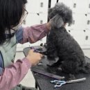 스무살의이야기학원