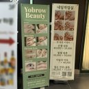 와이오 브로우 이미지