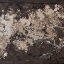 봉곡서로-8 이미지