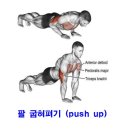 ■ 매일 걷기 운동했는데, 근육 감소 휘청거린 50대 이미지