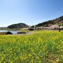 선암공원 이미지