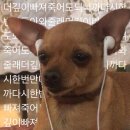 24시실내포장마차
