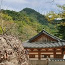 자연속에서-산 이미지