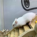 수원-0980 이미지