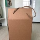 정화신발