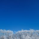 황골 | 블랙야크 100대 명산 원주 치악산 최단 황골코스 겨울산행 후기