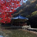 내장산관광안내소 | 내장산 케이블카 주차장, 소요비용, 코스 등 총정리