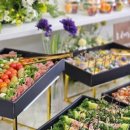 엔젤스데이 이미지