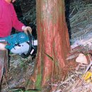 주식회사 엘케이 이미지