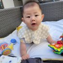 모모밥