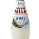 코코넛인터네셔널