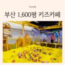 부산 실내 아기랑 가볼 만한 곳 아틀란티스 키즈카페 할인팁