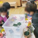 가곡초등학교, 가곡초교(병설유치원) 이미지