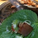 춘부집 이미지