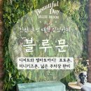 진천카페 추천: 초평면 블루문, 진천디저트와 진천젤라또 맛집