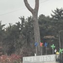 대한농장 | 주말 나들이 추천! 스핑크스 타조농장 다녀온 리얼 후기