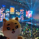 24.06.21-23 데이식스 팬미팅 [사랑이란 단어론 충분하지가 않아]