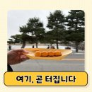 여우美 | 줄 긴 당고 vs 바로 먹는 당고...아라시야마 간식, "소문나기전" 가야합니다