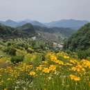 무궁화공원 이미지