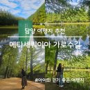 가로수길 | 담양 메타세쿼이아 가로수길 후기(아이와 걷기 좋은 담양 여행지)