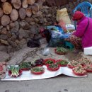 마비정농장 이미지