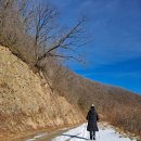 하이원 팰리스호텔 이미지