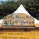 수풀지기 이미지