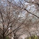 천보주유소 이미지