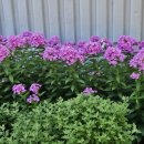 이정훈내과의원 이미지