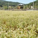 빌라 그레이스 이미지