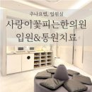 침사랑 한의원 네이버블로그