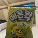 (강릉) 어쩌다 1박 2일이 되어버린 P가족의 반려동물 동반 여행(1) - 용궁사우나, 스테이123