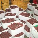 대덕식당 이미지