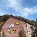 남해 독일마을 근처 맛집 화덕피자로 유명한 도우 DOW