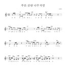 푸른감람나무 이미지