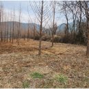 대구농장 이미지