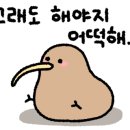 인생짬뽕 이미지