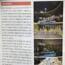 상하이 여행 야경 스팟 추천 및 황푸강 유람선, 공연 꿀팁 공유 후기