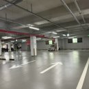 트윈독스 이미지