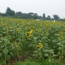 선회농장 이미지