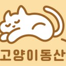 고양이동산 이미지
