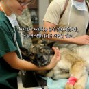 포유동물병원 이미지