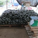 동송농장 이미지