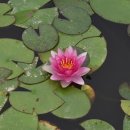 삼우당문구 | (대구) 남평문씨 본리 세거지/인흥마을