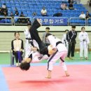 유원관 합기도 이미지