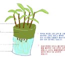 광연재