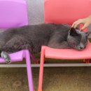 아빠사랑팜 이미지