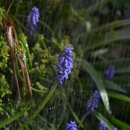 쭌카라반 캠핑장 이미지