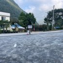 샬롬식당 이미지